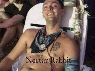 Nectar_Rabbit