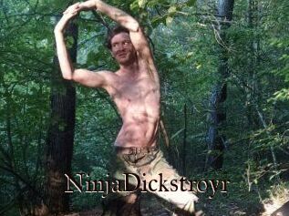 NinjaDickstroyr