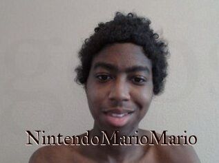 NintendoMarioMario