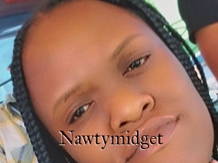 Nawtymidget