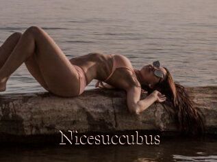 Nicesuccubus