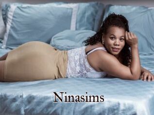 Ninasims