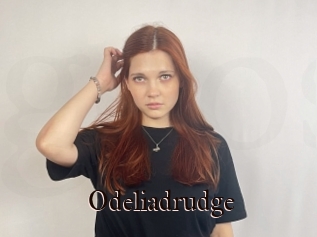 Odeliadrudge