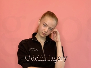 Odelindagary