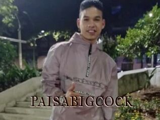 PAISABIGCOCK