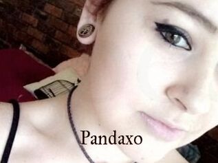 Pandaxo