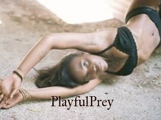 PlayfulPrey