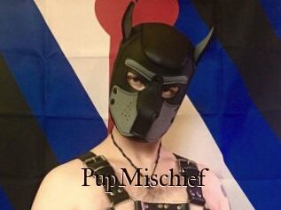 PupMischief