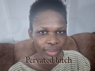 Pervated_bitch