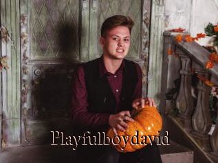 Playfulboydavid