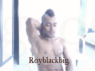 Royblackbig