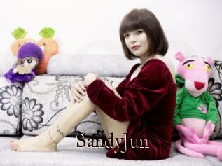 SandyJun