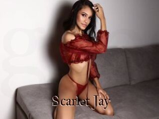 Scarlet_Jay