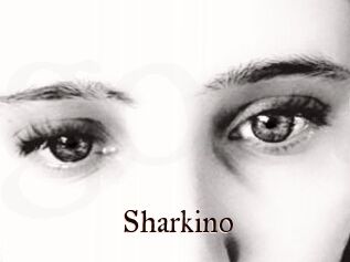 Sharkino