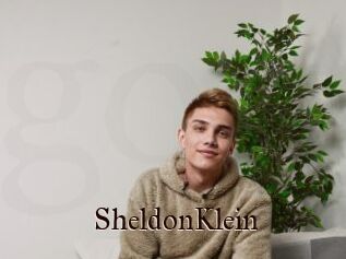 SheldonKlein