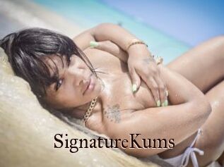 SignatureKums