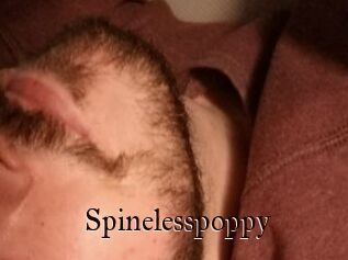 Spinelesspoppy