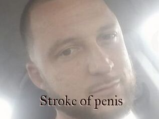 Stroke_of_penis