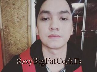 _SexyBigFatCockTs_