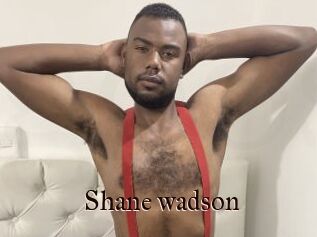 Shane_wadson