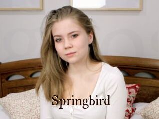 Springbird