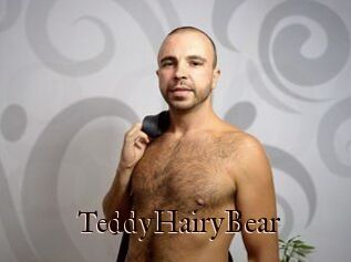 TeddyHairyBear