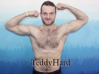 TeddyHard