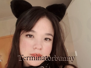 Terminatorbunny