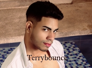 Terrybounce