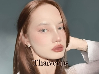 Thaivenus