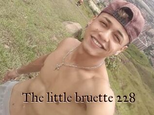 The_little_bruette_228