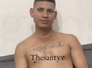 Thesantyx