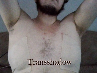 Transshadow