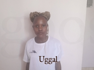 Uggal