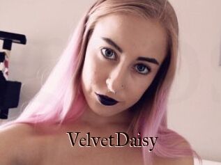 VelvetDaisy