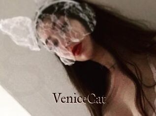 VeniceCat