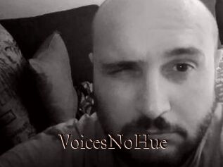 VoicesNoHue