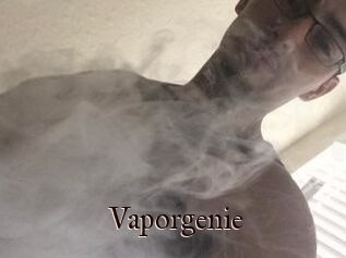 Vapor_genie