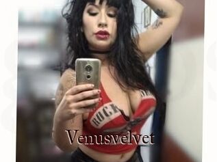 Venusvelvet