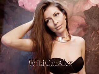 WildCatAlex