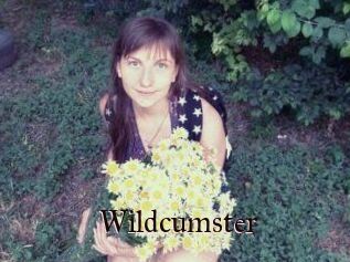 Wildcumster