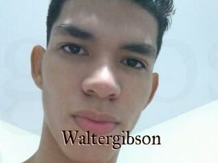 Waltergibson