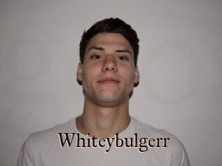 Whitey_bulgerr