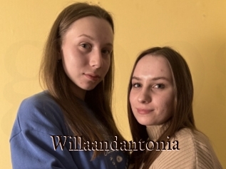 Willaandantonia