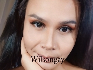 Wilsongay