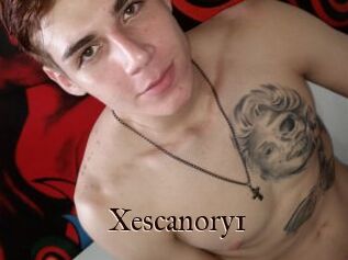 Xescanory1